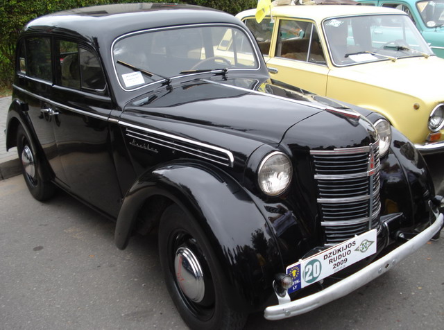 Grybų šventė 2009