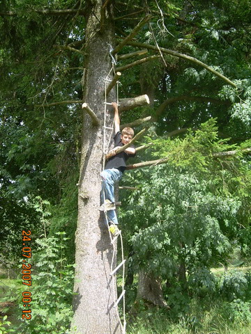 Dažasvydis 2007