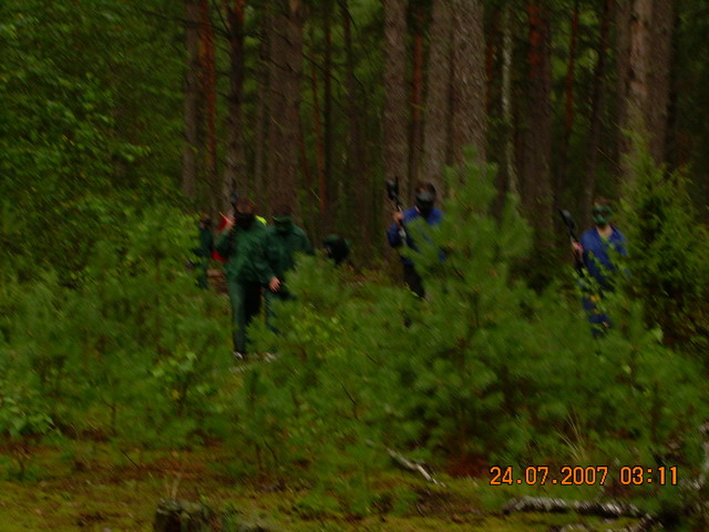 Dažasvydis 2007